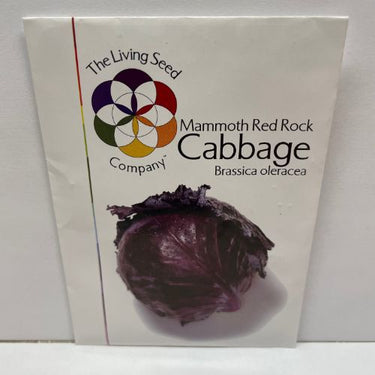 Mammoth Red Rock Cabbage